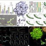 ResearchbiochemFeatures