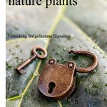 SuggestedNaturePlantsCover