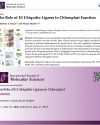 Our new paper is out –  Role of E3 Ligases in Chloroplasts