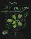 Our published research is featured as the cover of New Phytologist