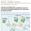 Our new research article is now published in Nature Communications
