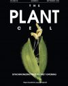 New Review Article published in The Plant Cell